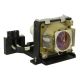 LG RD-JT50 Original Inside Projector Lamp - Replaces AJ-LT50